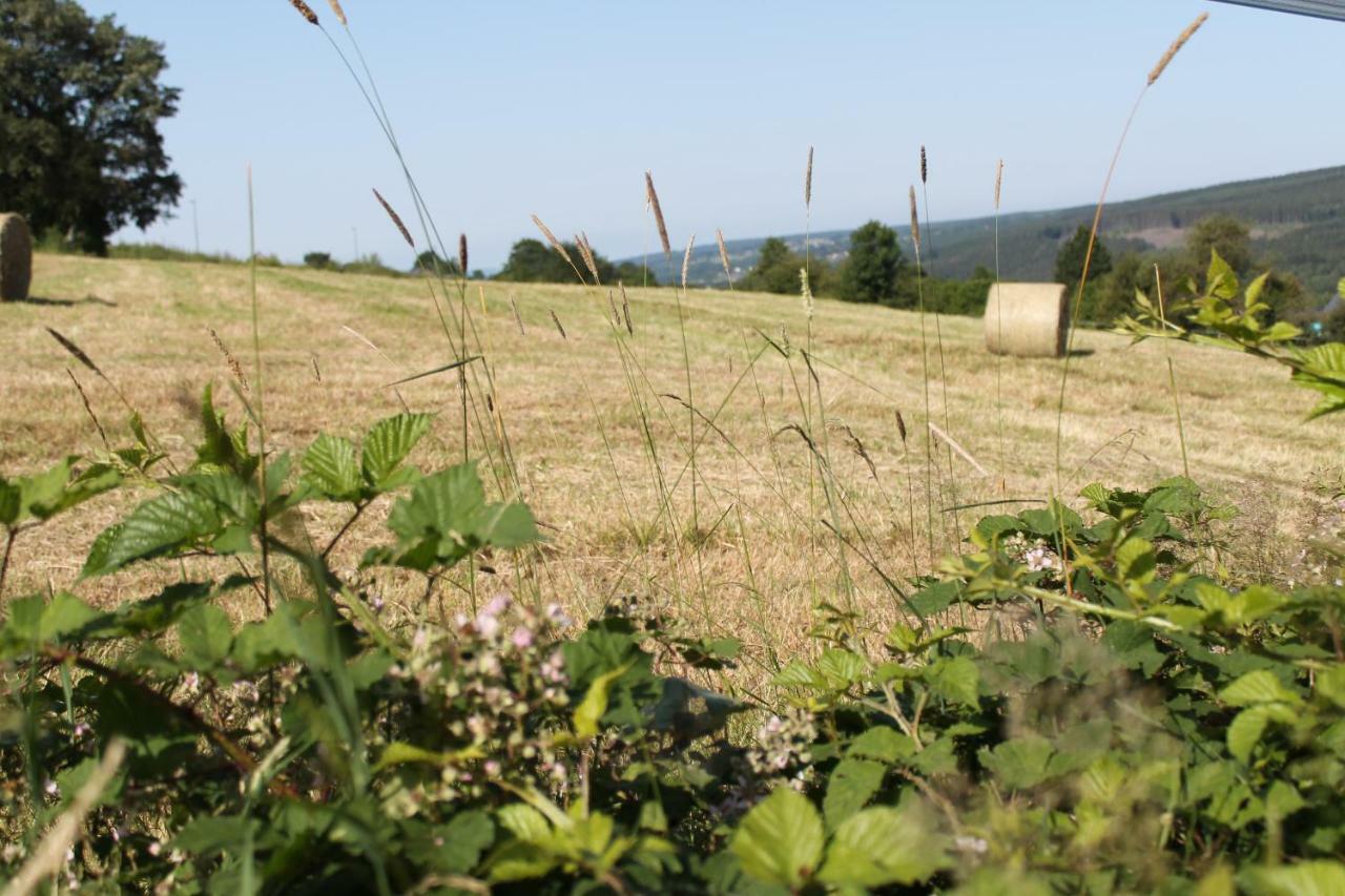 Guesthouse Legrand Francorchamps Zewnętrze zdjęcie